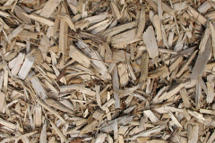 biomass boilers Bare Ash